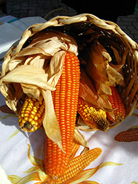 Mais