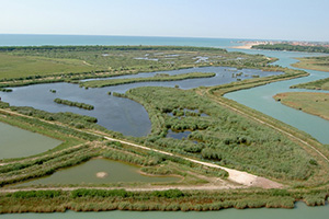Venezia