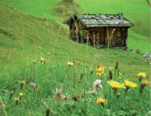 arpav