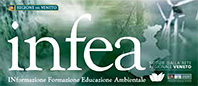 INFEA News