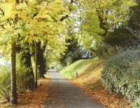 Autunno