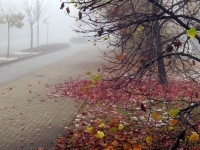 Autunno