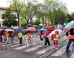 Millepedibus Millepedibus