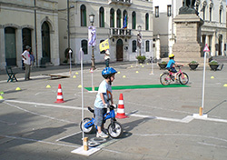 BIMBI in BICI