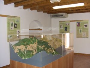 Laboratorio Territoriale di Educazione Ambientale per la provincia di Verona 